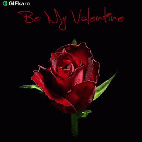Be My Valentine Gifkaro GIF - Be My Valentine Gifkaro Be My Date GIFs