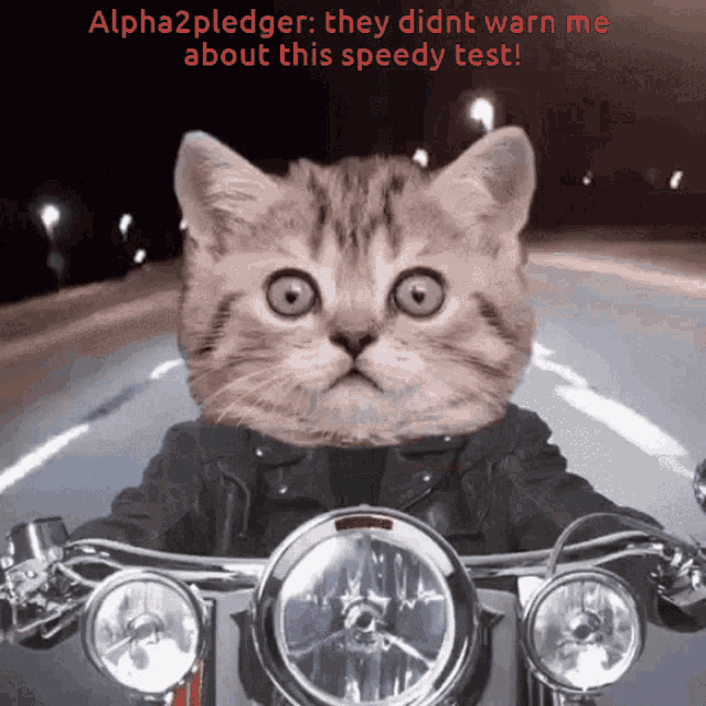 a cat wearing a leather jacket is riding a motorcycle with the caption alpha2pledger they didn t warn me