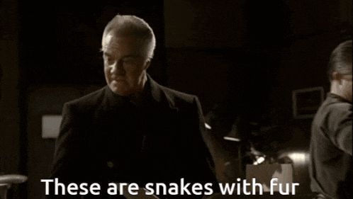 a man says these are snakes with fur in a dark room