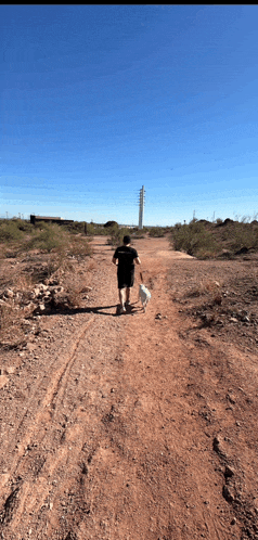a man walking a dog on a dirt path
