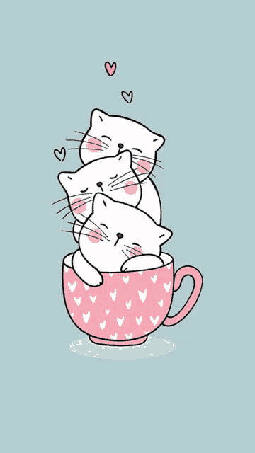 three white cats are stacked on top of each other in a pink cup with hearts on it