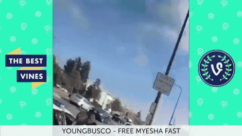 the best vines youngbusco free myesha fast advertisement