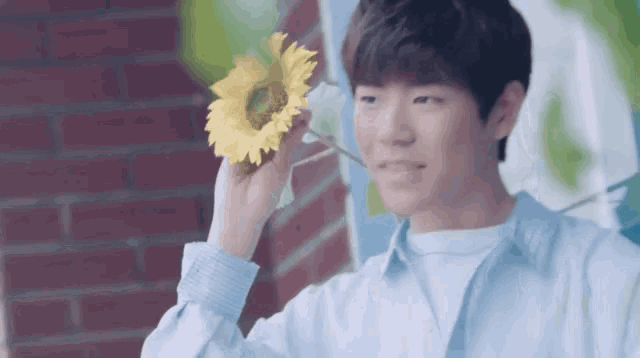 a young man in a blue shirt is holding a sunflower