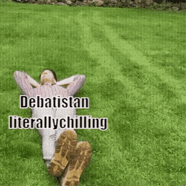 a person is laying in the grass with the words debatistan literally chilling above them