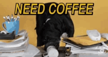 a dog is laying on a desk with the words need coffee written above it