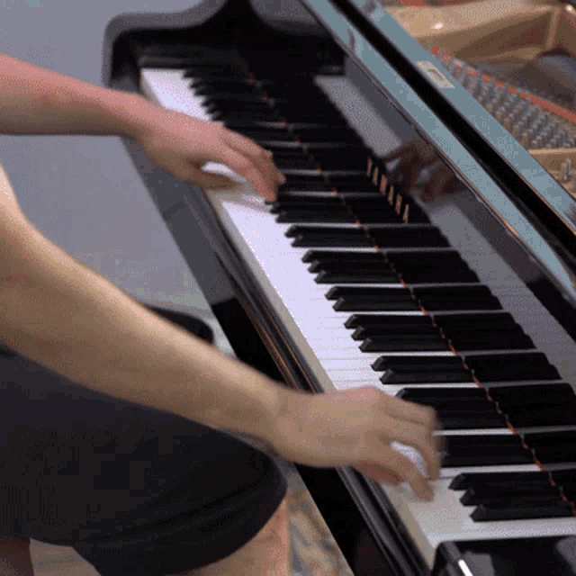 Playing Piano Kyle Landry GIF