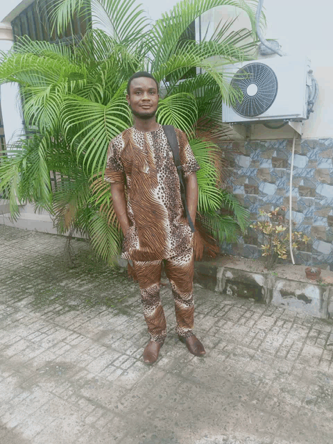 a man standing in front of a palm tree wearing a leopard print shirt