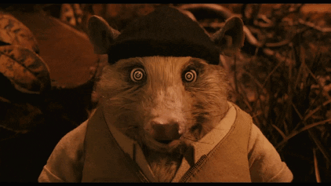 Searchlight Pictures Hypnotized GIF - Searchlight Pictures Hypnotized Fantastic Mr Fox GIFs