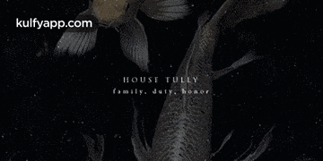 a picture of a fish with the words `` house tully family duty honor '' written on it