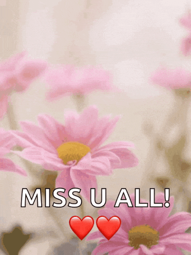 a happy mother 's day card with pink flowers