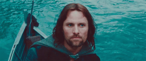 Lord Of The Rings Lotr GIF - Lord Of The Rings Lotr Aragorn GIFs