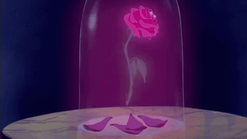 Beauty And The Beast Rose GIF - Beauty And The Beast Rose Flower GIFs