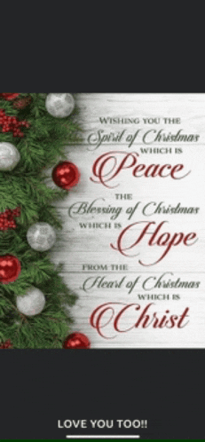 a christmas card that says wishing you the spirit of christmas which is peace and blessing of christmas which is hope