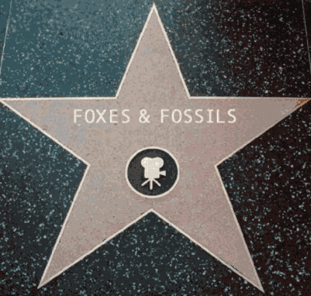 Foxes And Fossils Star GIF - Foxes And Fossils Star Logo GIFs