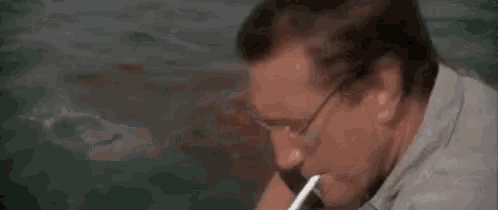 Spotted: Shark GIF