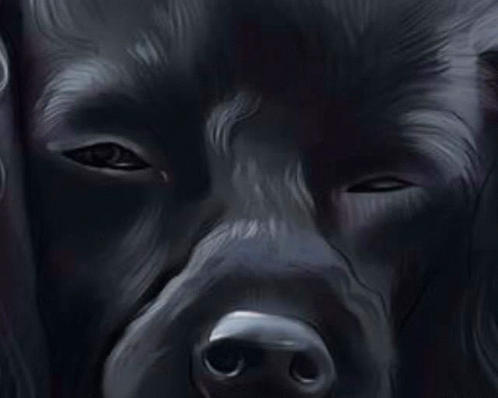 Riridog Sumbark GIF - Riridog Sumbark Suspicious GIFs