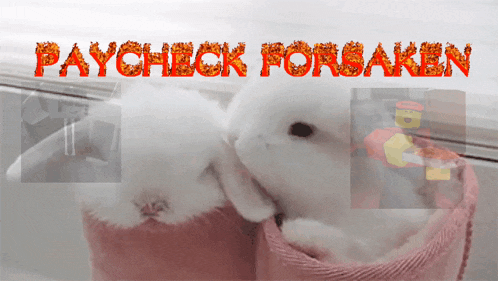 two small white rabbits kissing with the words paycheck forsaken in red letters