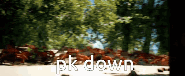 Pluralkit Pluralkit Down GIF - Pluralkit Pluralkit Down Pk Down GIFs