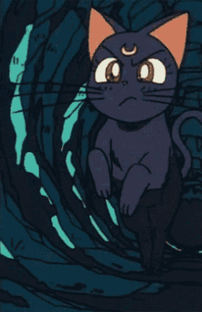 a cat with a crescent moon on its head