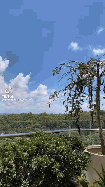 a picture of a balcony with a tree in the foreground and a blue sky with clouds