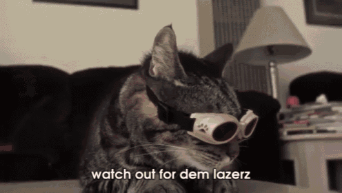 Laser Cat. Yeah. GIF - Cat Laser Shades GIFs