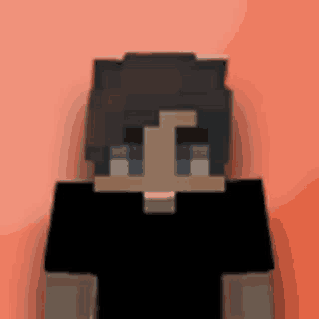 a minecraft character is wearing a black shirt