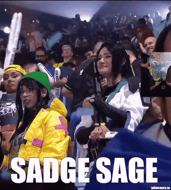 Sadge Sage Sage Sad GIF - Sadge Sage Sage Sad Sad Sage GIFs