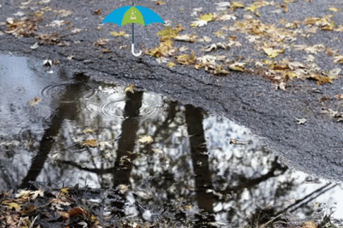 Puddles123 GIF - Puddles123 GIFs