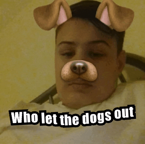 a man with a dog mask on his face and the words who let the dogs out above him