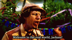 Welcome To The Real World, Jackass! GIF - Welcome To The Real World Jackass Welcome To The Real World The Lonely Island GIFs