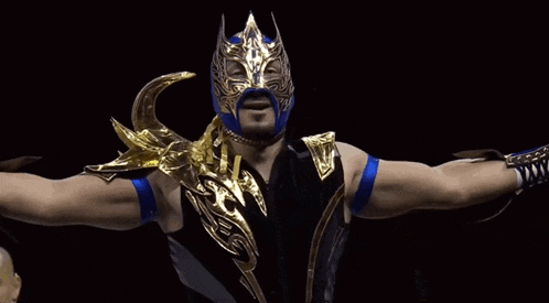 a wrestler in a black and gold costume with a blue mask