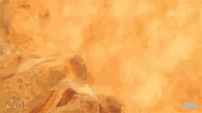 a picture of a dragon on fire with the word got on the bottom right