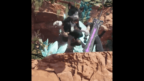 a black and white cat is standing on a rock with a purple sword