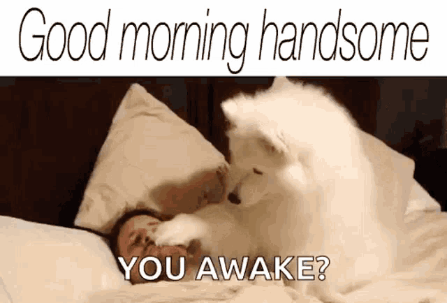 a man is laying in bed with a white dog licking his face .