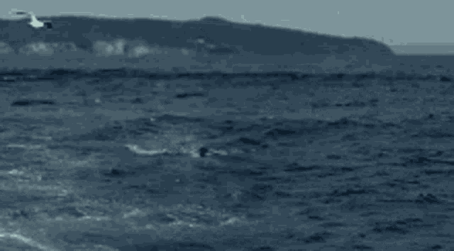 a dolphin is jumping out of the ocean