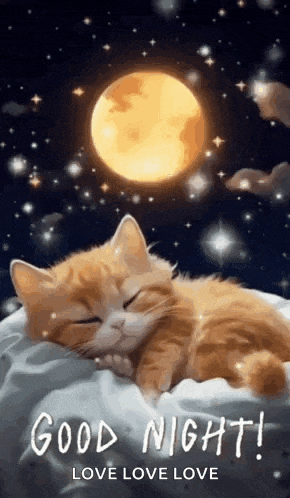 a cat is sleeping on a bed with the moon in the background .
