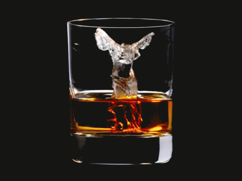 氷　ロック　お酒　ウィスキー GIF - Whiskey Koori GIFs