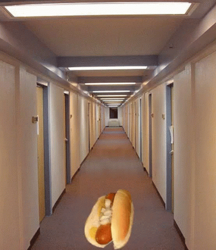 Hot Dog Zooming By GIF - Hot Dog Zooming By Passing By GIFs