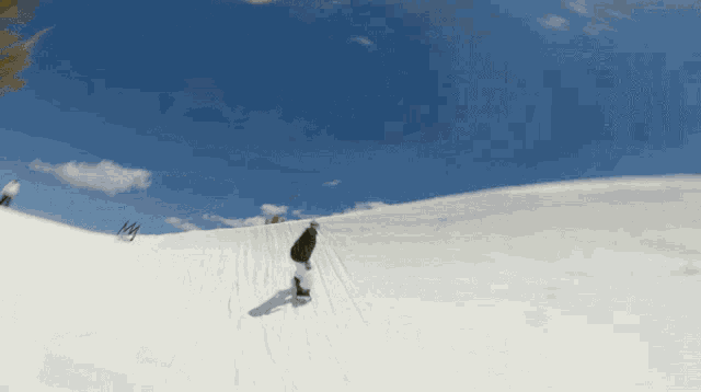Snowboarding Red Bull GIF