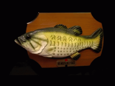 Don'T Worry Be Happy GIF - Funny Fish Talking GIFs