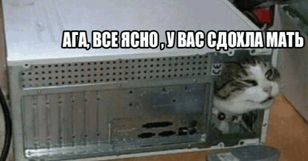 a cat is peeking out of the back of a computer with a caption in russian