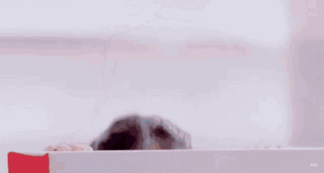 a close up of a woman 's face with the word sd behind her