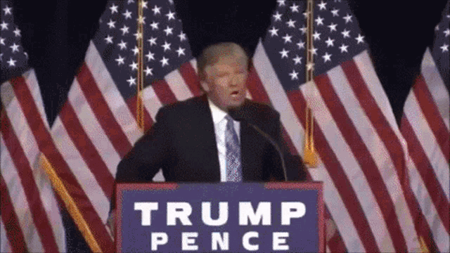donald trump is giving a speech in front of american flags