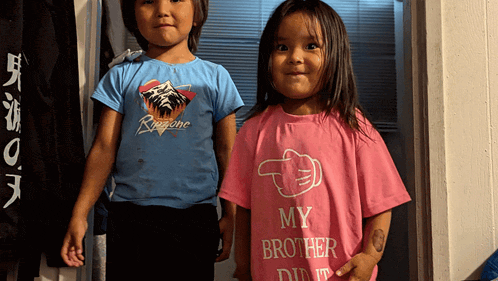 a little girl in a pink shirt that says my brother did it