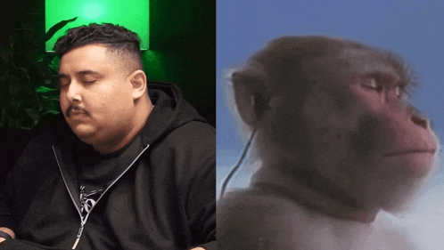 a man with his eyes closed next to a monkey with headphones on