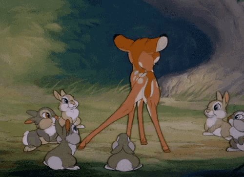 a group of rabbits standing around a deer