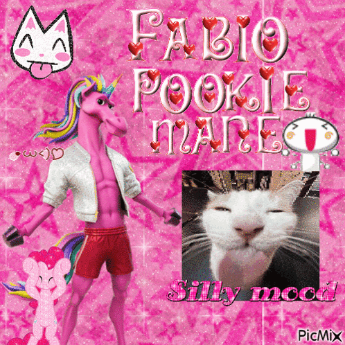 a picture of a unicorn and a cat with the words fabio pookie mane silly mood