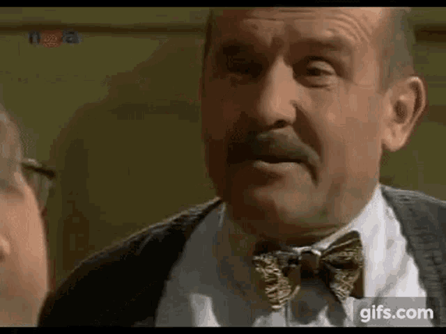 a man with a mustache is wearing a bow tie and glasses .