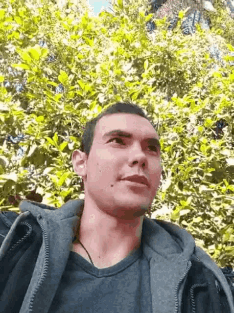 a man is standing in front of a tree and looking up at the camera
