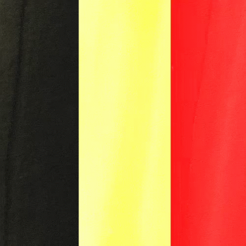 Belgium GIF - Beglium Flag Brussels GIFs